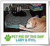 Pet Pics on PetSugar 2009-04-13 09:25:00