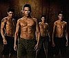 Shirtless Photo of New Moon Wolf Pack