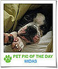 Pet Pics on PetSugar 2009-04-21 09:00:32