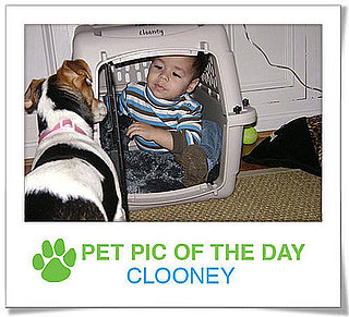 Pet Pics on PetSugar 2009-04-23 09:00:04