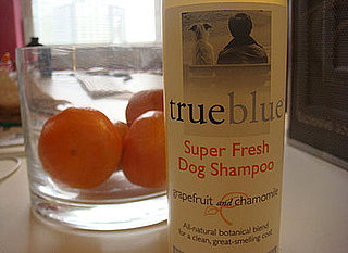 True Blue Grapefruit and Chamomile Dog Shampoo Review
