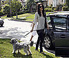 Photo Slide of Rachel Bilson With Her Dog in LA