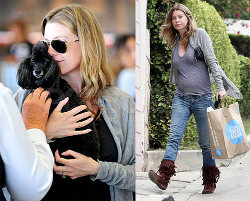 Photos of Pregnant Ellen Pompeo With Her Toy Poodle at LAX