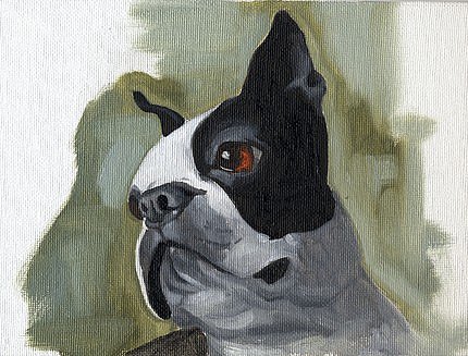 Boston Terrier Oil Painting ($40)