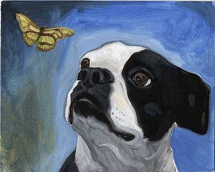 Boston Terrier Oil Painting ($13)