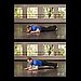 Elbow Plank