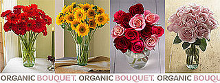 This Valentine's Day, Send Organic Flowers