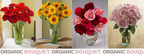 This Valentine's Day, Send Organic Flowers