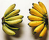 Quiz About Potassium