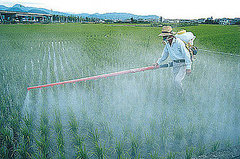 Environmental Working Group's Printable Pesticide Produce List Environmental Working Group's Printable Pesticide Produce List