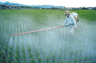 Environmental Working Group's Printable Pesticide Produce List