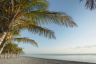 Relax Already: Take a Two-Minute Minivacation