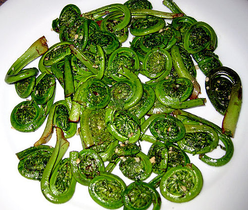 Nutritional Information of Fiddleheads