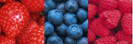 How Do These Berries Compare?