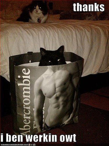 It's My Dream Man!