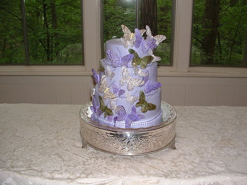 Pretty Purple and Butterflies
