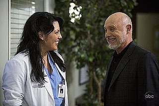 Grey's Anatomy Recap: Season 5, Episode 20, "Sweet Surrender"