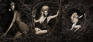 America's Next Top Model Recap and Quiz: "Take Me to the Jungle"