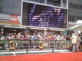 American Idol Finale Red Carpet Interviews