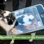 Five Handy iPhone Apps For Dog Parents