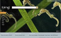 Microsoft Launches Bing Search Engine to Compete With Google Microsoft Launches Bing Search Engine to Compete With Google