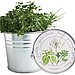 Herb Garden 