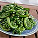 Fiddlehead Ferns