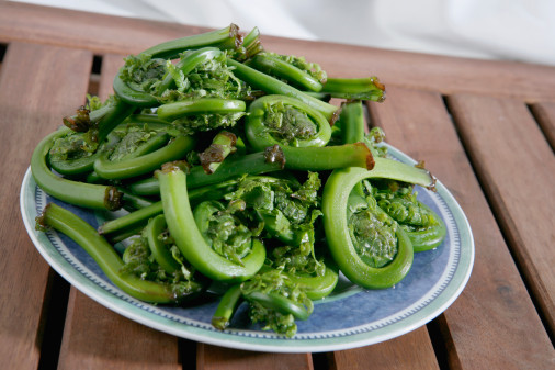 Fiddlehead Ferns Fiddlehead Ferns