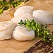 Scallops