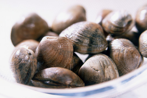 Clams Clams
