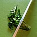 Rock a sharp knife back and forth across the "roll," creating consistently thin slices. 