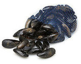 Easy Gourmet Recipe for Mussel Gratin Easy Gourmet Recipe for Mussel Gratin