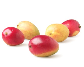 Mango Lassi Mango Lassi