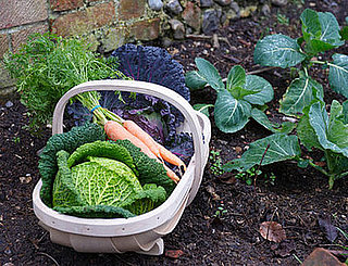 Yummy Links: From Edible Gardens to Cakes