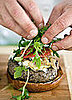 Yummy Links: From Burgers to Bacon