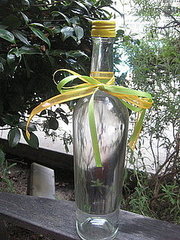 Go Green! Turn Old Wine Bottles Into Water Holders