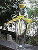 Go Green! Turn Old Wine Bottles Into Water Holders