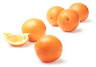 Fresh Citrus Juice Bar Fresh Citrus Juice Bar