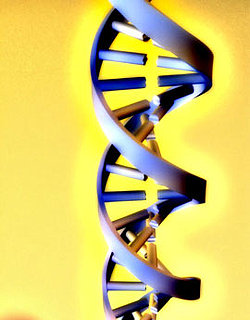 DNA Testing For Athletic Ability