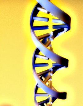 DNA Testing For Athletic Ability