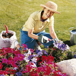 Fun dollar store finds for your garden 