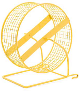 Pet Peeves: My Hamster Hates Her Wheel!