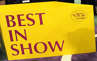 Stump the Sussex Spaniel Is the Best In Show Winner of the 133rd Westminster Kennel Club Dog Show