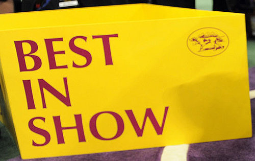 Stump the Sussex Spaniel Is the Best In Show Winner of the 133rd Westminster Kennel Club Dog Show