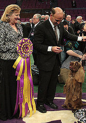 Viewers' Choice: Westminster Redo? Viewers' Choice: Westminster Redo?
