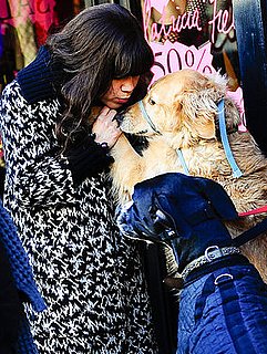 In the Spotlight: Buddy Loves America (and Lucy, Too)