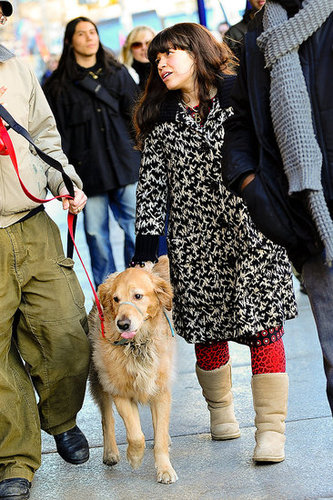 America Ferrera On Ugly Betty Set With Dogs America Ferrera On Ugly Betty Set With Dogs