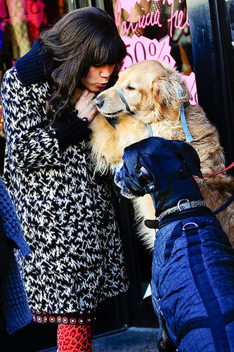America Ferrera On Ugly Betty Set With Dogs America Ferrera On Ugly Betty Set With Dogs