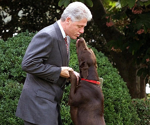 9. Clinton 9. Clinton