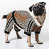 Freaky or Fabulous: Roberto Cavalli Canine Fashion